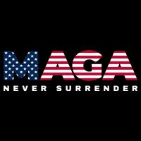 Trump Maga Freedom Never Surrender 4th Of July 2024 Usa Flag Hoodie 16 in Basic Backpack