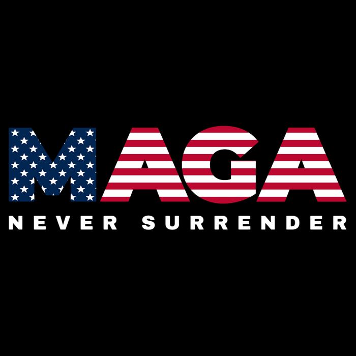 Trump Maga Freedom Never Surrender 4th Of July 2024 Usa Flag Hoodie 16 in Basic Backpack