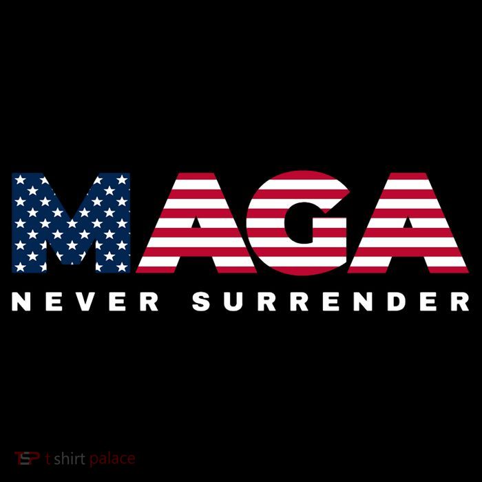 Trump Maga Freedom Never Surrender 4th Of July 2024 Usa Flag Hoodie Kids T-Shirt