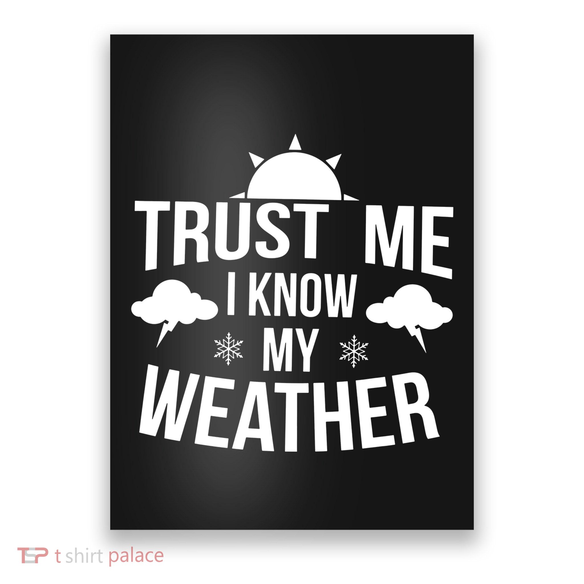Trust Me Funny Weather Meteorologist Poster