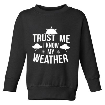Trust Me Funny Weather Meteorologist Toddler Sweatshirt