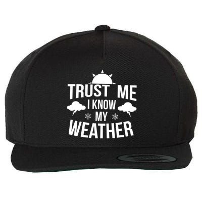 Trust Me Funny Weather Meteorologist Wool Snapback Cap