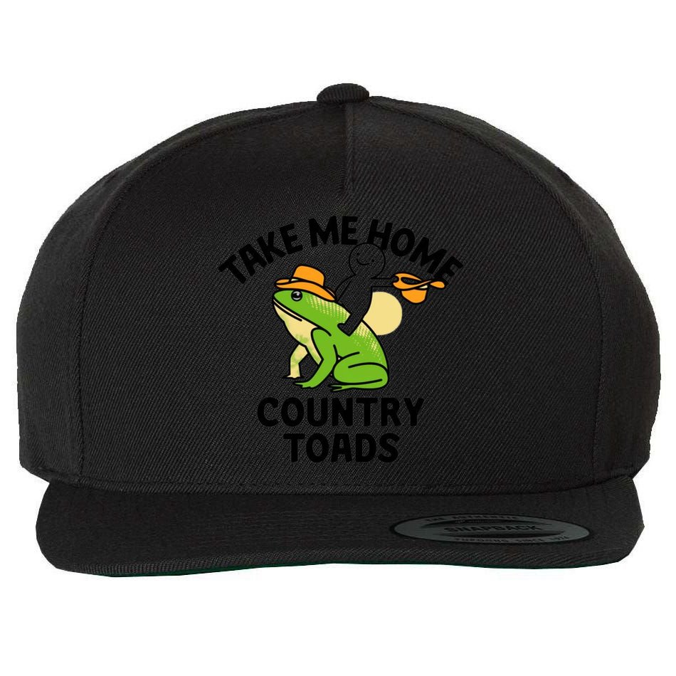Take Me Home Country Toads Wool Snapback Cap