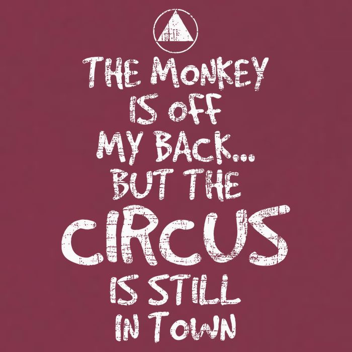 The Monkey Is Off My Back Sobriety Anniversary Sober Aa Na 16oz Travel Tumbler