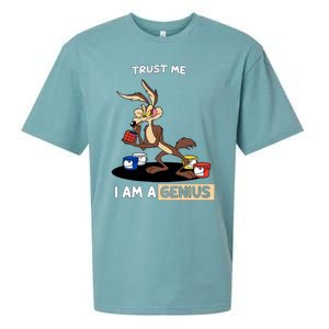 Trust Me I Am A Genius Sueded Cloud Jersey T-Shirt