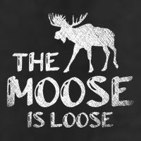 The Moose Is Loose Funny Wildlife Animal Canadian Elk Moose Adult Drive Performance Visor