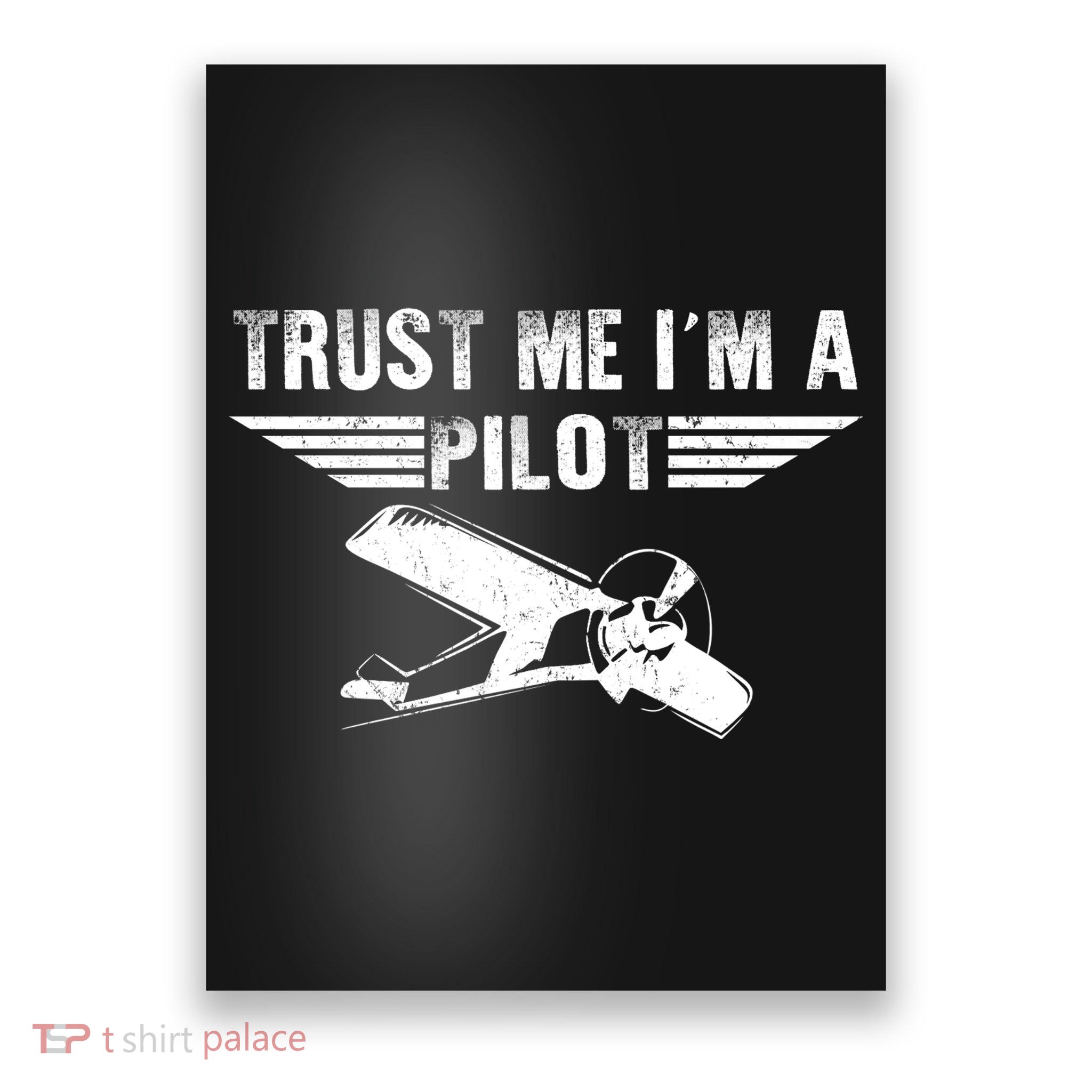 Trust Me Im A Pilot Poster