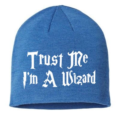 Trust Me Im A Wizard Gift Sustainable Beanie