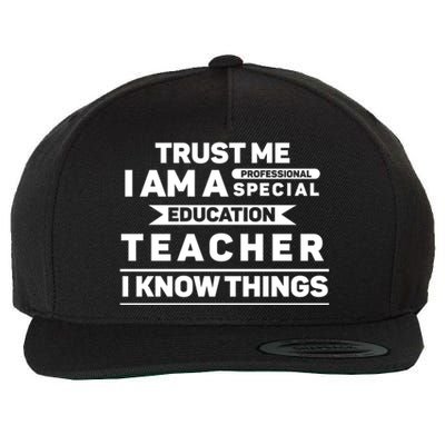 Trust Me I Am A Professional Special Education Teacher Gift Wool Snapback Cap