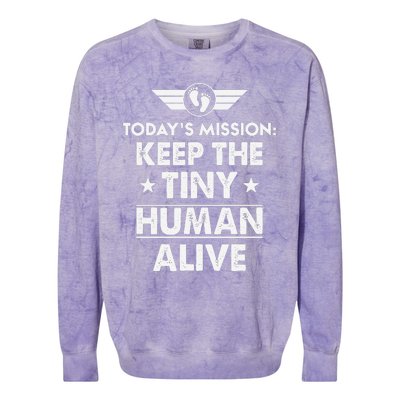 Today’s Mission Keep The Tiny Human Alive Fathers Day Colorblast Crewneck Sweatshirt