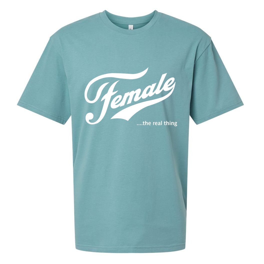 The Megyn Kelly Show Female The Real Thing Sueded Cloud Jersey T-Shirt