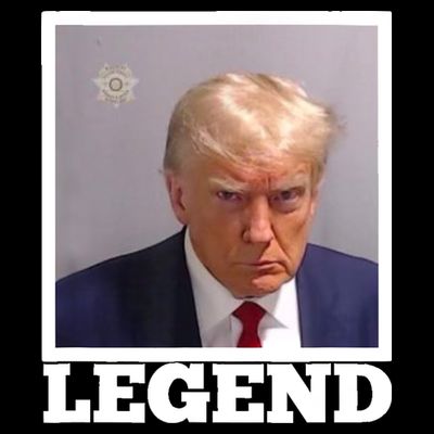TRUMP MUGSHOT LEGEND President Trump 2024 Fulton T-Shirt