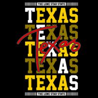 Texas Mashup Logo Flatbill Hat