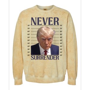 Trump Mugshot Meme Colorblast Crewneck Sweatshirt