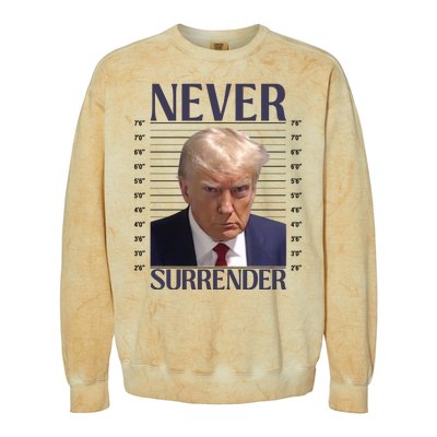 Trump Mugshot Meme Colorblast Crewneck Sweatshirt