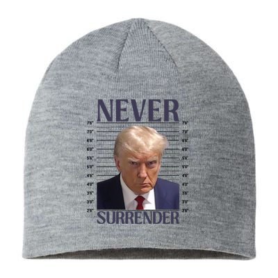 Trump Mugshot Meme Sustainable Beanie