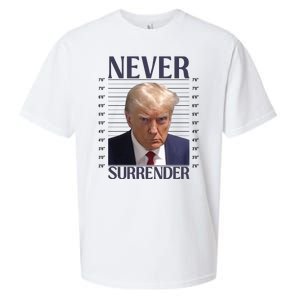 Trump Mugshot Meme Sueded Cloud Jersey T-Shirt