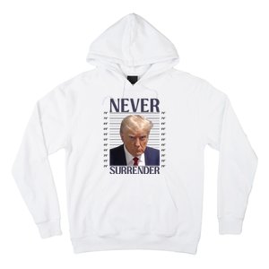 Trump Mugshot Meme Hoodie