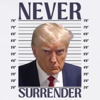 Trump Mugshot Meme Visor