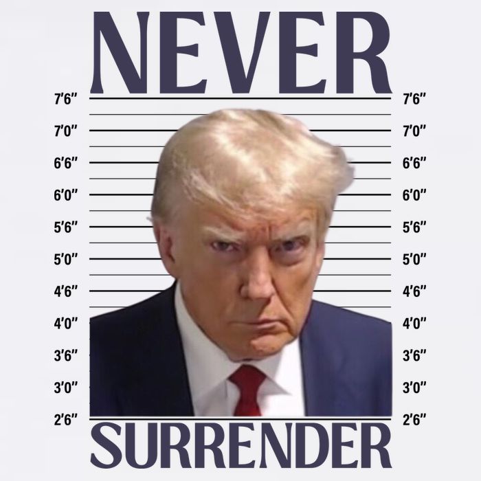 Trump Mugshot Meme Visor