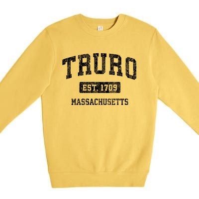 Truro Massachusetts Ma Vintage Sports Premium Crewneck Sweatshirt