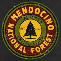 The Mendocino National Forest Adult Drive Performance Visor