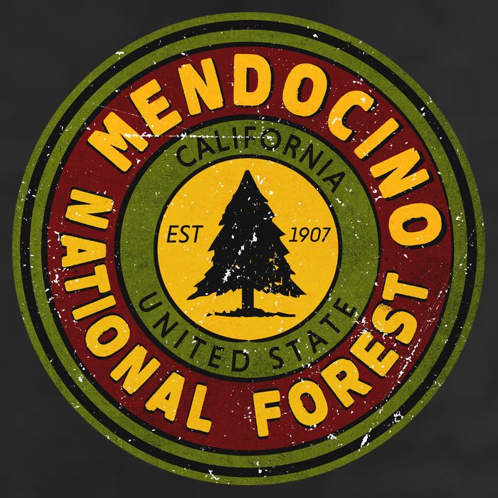 The Mendocino National Forest Adult Drive Performance Visor