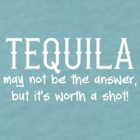 Tequila May Not Be The Answer, But Its Wirth A Shot Cinco De Mayo Sueded Cloud Jersey T-Shirt