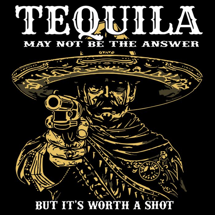 Tequila May Not Be The Answer But Its Worth A Shot Pom Pom 12in Knit Beanie