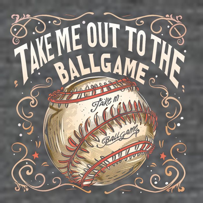 Take Me Out To The Ball Game Baseball Retro Premium T-Shirt