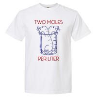 Two Moles Per Liter Funny Chemistry Science AvogadroS Day Meme Garment-Dyed Heavyweight T-Shirt