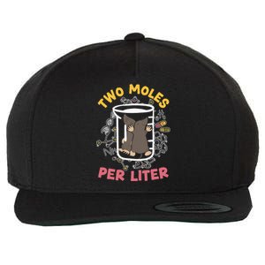 Two Moles Per Liter Science Lover Chemistry Mammal Mole Wool Snapback Cap