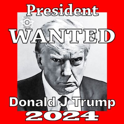 Trump Mugshot President Wanted T-Shirt