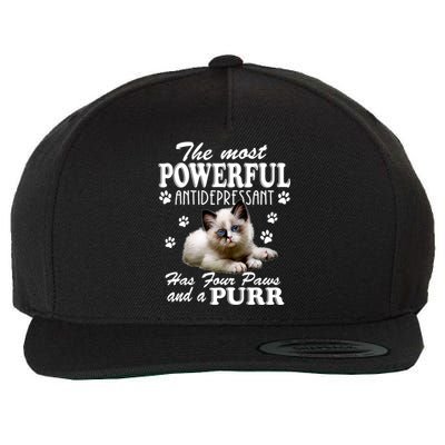 The Most Powerful Antidepressant Has Four Paws And A Purr Cute Gift Wool Snapback Cap