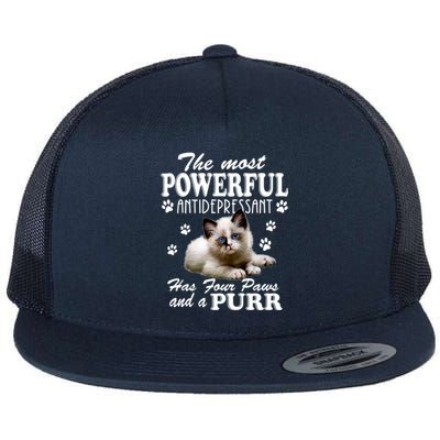 The Most Powerful Antidepressant Has Four Paws And A Purr Cute Gift Flat Bill Trucker Hat