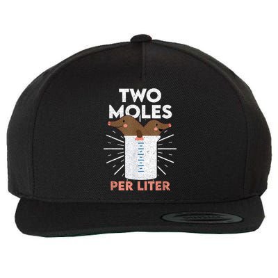 Two Moles Per Liter Funny Chemistry Science Tee Wool Snapback Cap