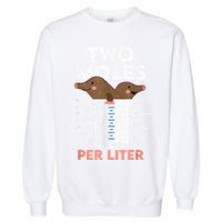 Two Moles Per Liter Funny Chemistry Science Tee Garment-Dyed Sweatshirt