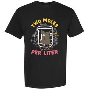 Two Moles Per Liter Science Lover Chemistry Mammal Mole Garment-Dyed Heavyweight T-Shirt