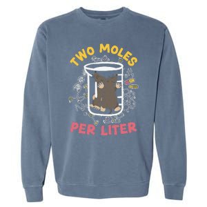 Two Moles Per Liter Science Lover Chemistry Mammal Mole Garment-Dyed Sweatshirt