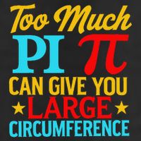 Too Much Pi National Pi Day Science Pi Symbol Math Lover Cool Comfort Performance Bucket Hat