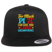Too Much Pi National Pi Day Science Pi Symbol Math Lover Flat Bill Trucker Hat