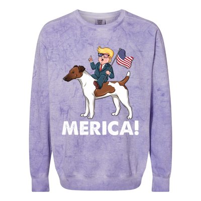 Trump Merica Riding A Smooth Fox Terrier Dog Patriotic Gift Colorblast Crewneck Sweatshirt