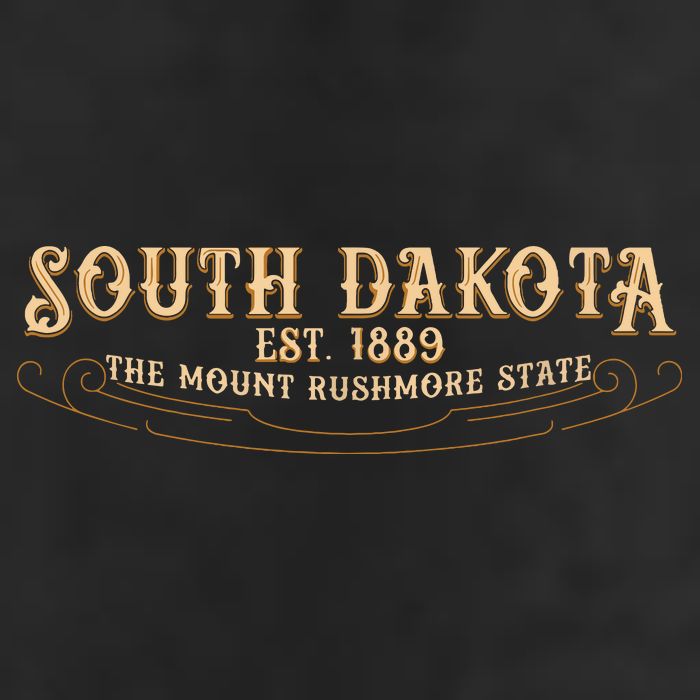 The Mount Rushmore State South Dakota Adult Drive Performance Visor