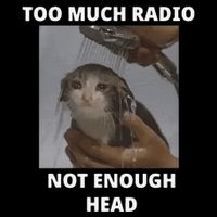 Too Much Radio Not Enough Head Cat Funny Meme Impact Tech Backpack
