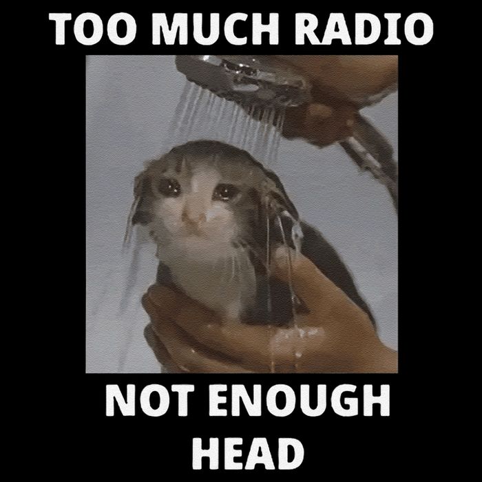 Too Much Radio Not Enough Head Cat Funny Meme Impact Tech Backpack
