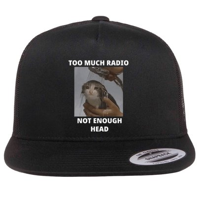 Too Much Radio Not Enough Head Cat Funny Meme Flat Bill Trucker Hat