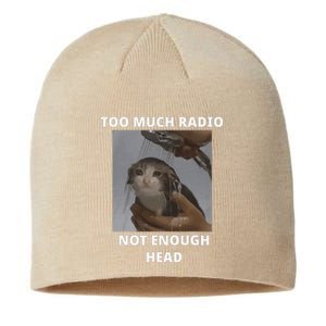 Too Much Radio Not Enough Head Cat Funny Meme Sustainable Beanie