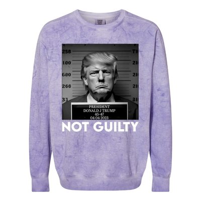 Trump Mug Shot, Trump Not Guilty Pro Trump Supporter Colorblast Crewneck Sweatshirt