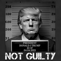 Trump Mug Shot, Trump Not Guilty Pro Trump Supporter Beanie