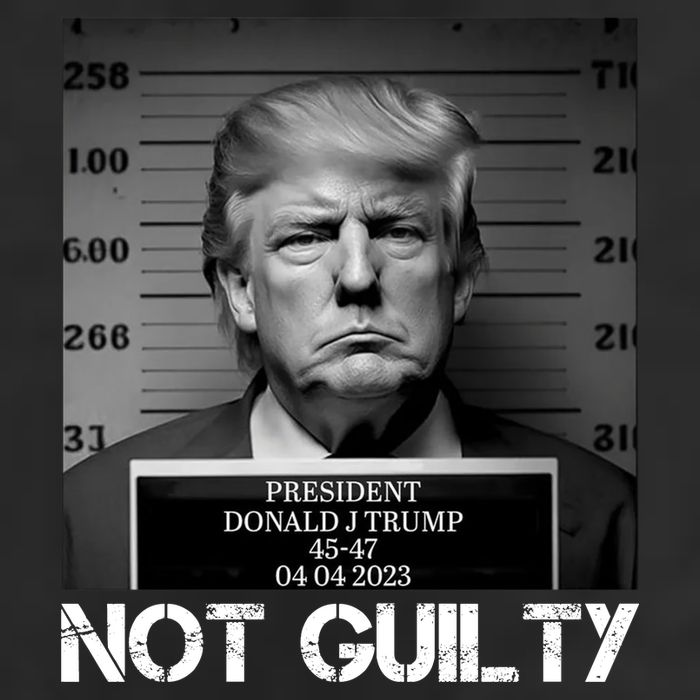 Trump Mug Shot, Trump Not Guilty Pro Trump Supporter Beanie